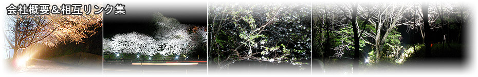 ライトアップ ライティングなら電気設備専門店 中田電工へ！