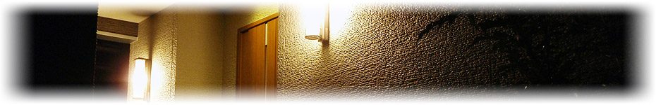 夜桜の照明（ライトアップ）イメージ